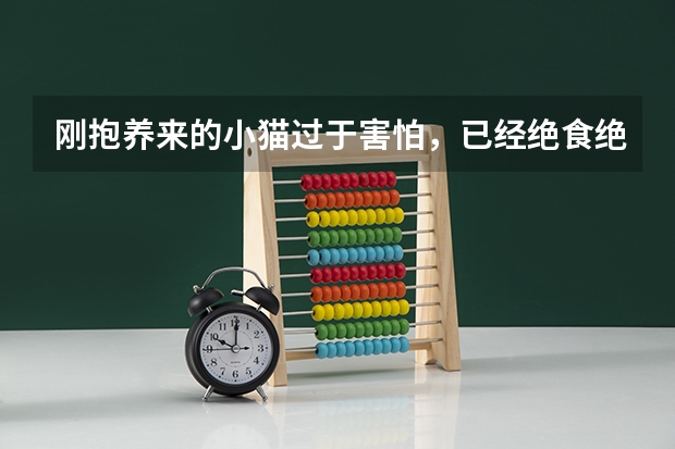 刚抱养来的小猫过于害怕，已经绝食绝水30多个小时了，怎么办？