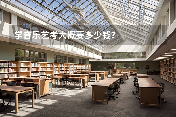 学音乐艺考大概要多少钱？