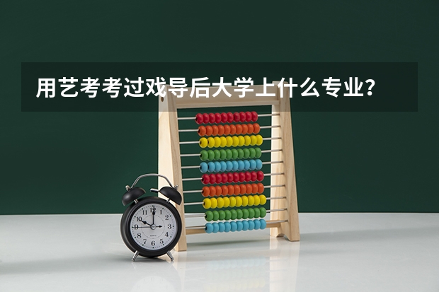 用艺考考过戏导后大学上什么专业？