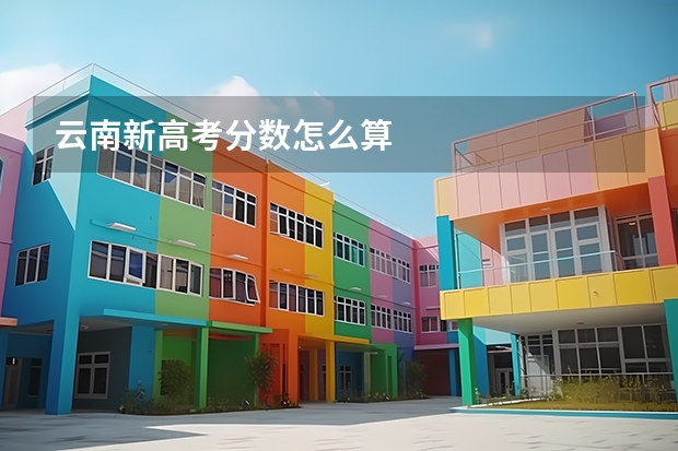 云南新高考分数怎么算