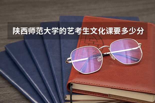 陕西师范大学的艺考生文化课要多少分才能上？