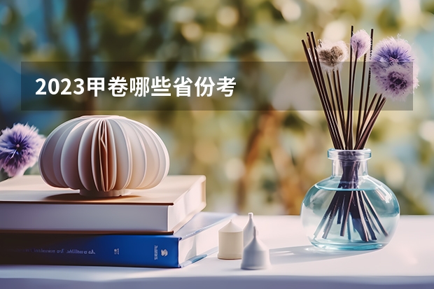 2023甲卷哪些省份考