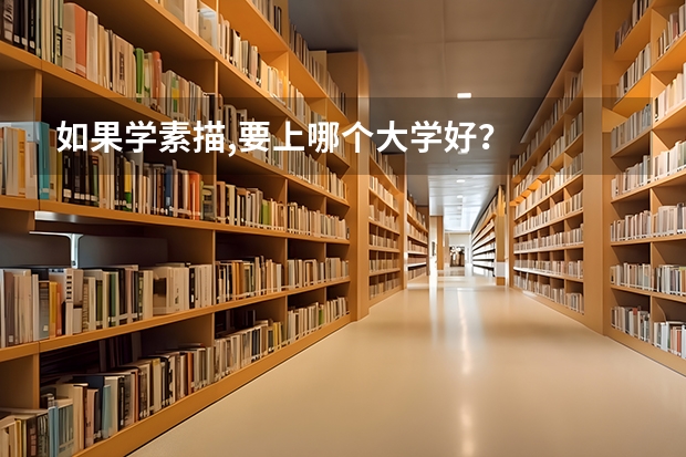 如果学素描,要上哪个大学好？