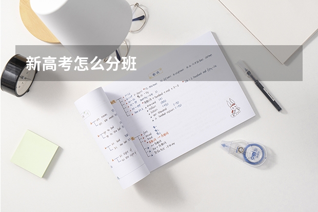 新高考怎么分班