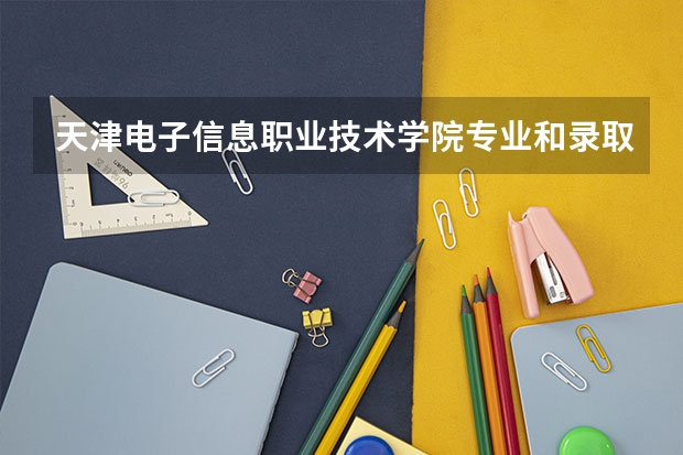 天津电子信息职业技术学院专业和录取分数线介绍