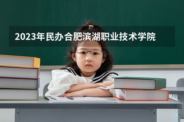 2023年民办合肥滨湖职业技术学院最低多少分能录取(2024录取分数线预测)