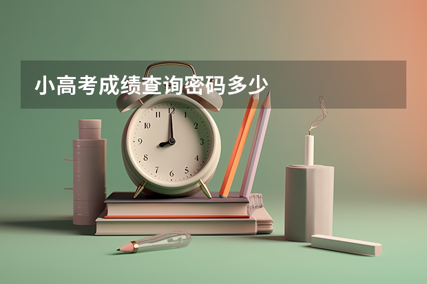 小高考成绩查询密码多少