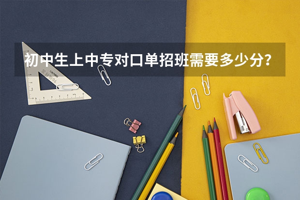 初中生上中专对口单招班需要多少分？