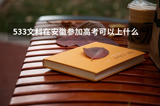 533文科在安徽参加高考可以上什么大学
