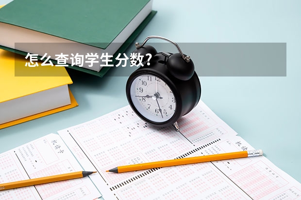 怎么查询学生分数?