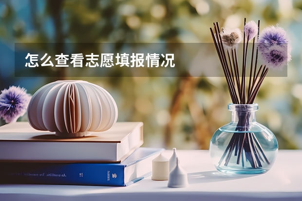 怎么查看志愿填报情况