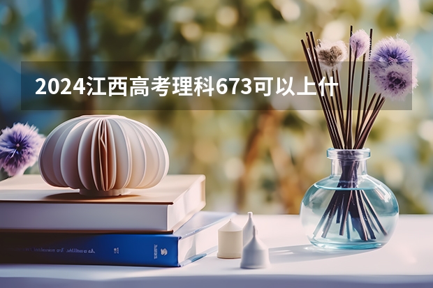 2024江西高考理科673可以上什么大学