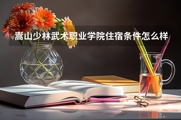 嵩山少林武术职业学院住宿条件怎么样 有空调和独立卫生间吗