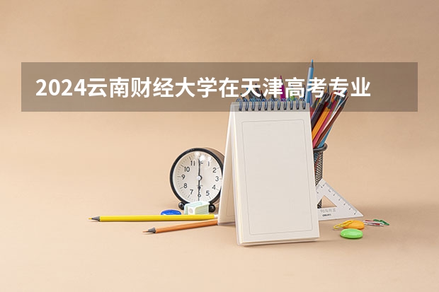 2024云南财经大学在天津高考专业招生计划人数预测