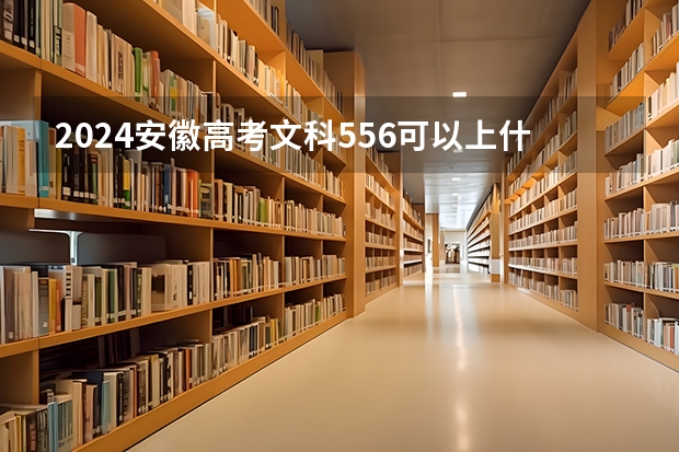 2024安徽高考文科556可以上什么大学