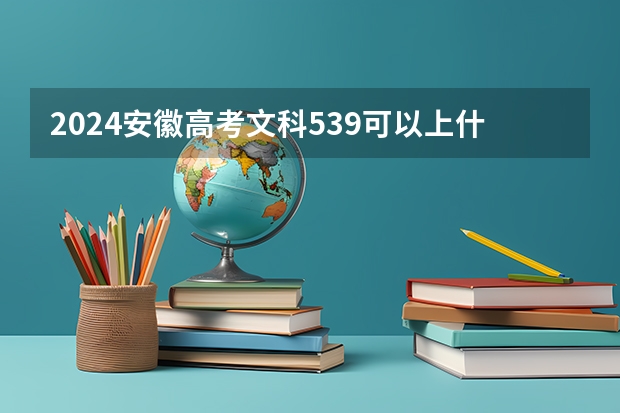 2024安徽高考文科539可以上什么大学
