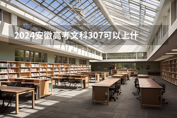 2024安徽高考文科307可以上什么大学