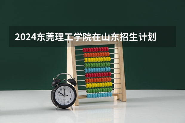 2024东莞理工学院在山东招生计划人数