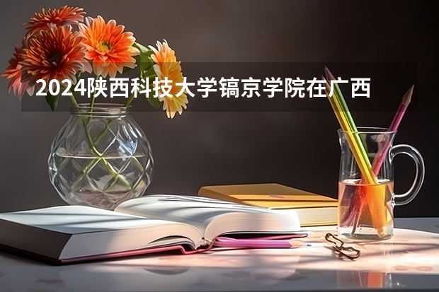 2024陕西科技大学镐京学院在广西招生计划人数