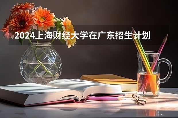 2024上海财经大学在广东招生计划人数