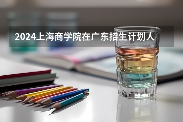 2024上海商学院在广东招生计划人数