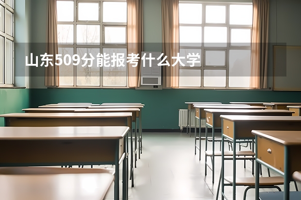 山东509分能报考什么大学
