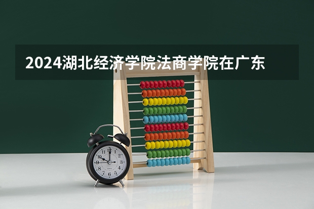 2024湖北经济学院法商学院在广东招生计划人数