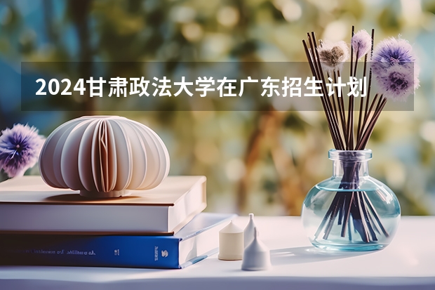 2024甘肃政法大学在广东招生计划人数