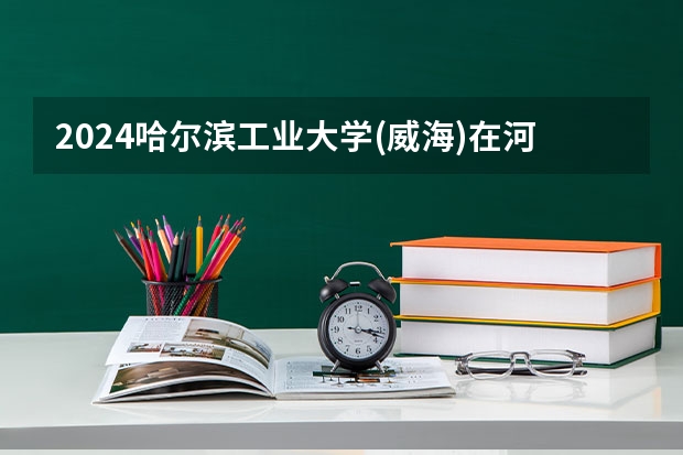2024哈尔滨工业大学(威海)在河南招生计划人数