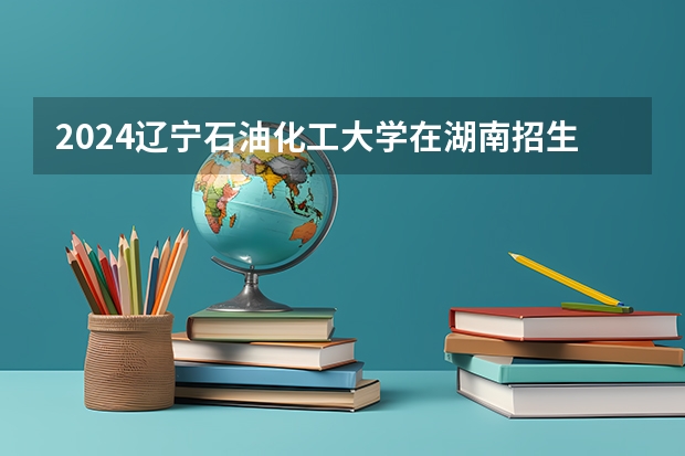 2024辽宁石油化工大学在湖南招生计划人数