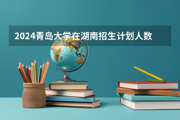 2024青岛大学在湖南招生计划人数