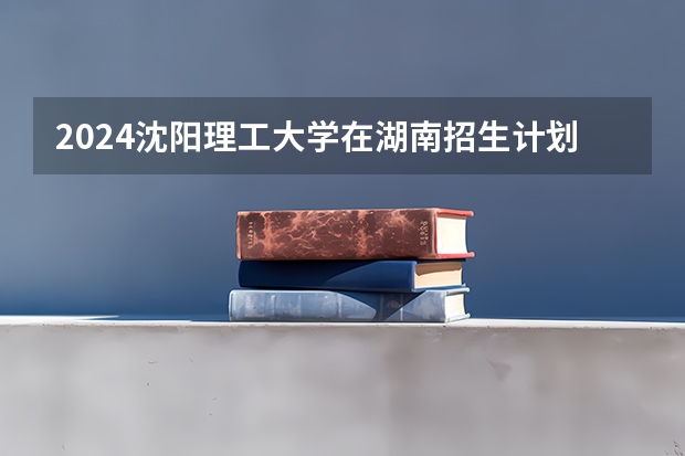 2024沈阳理工大学在湖南招生计划人数