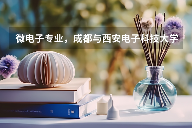 微电子专业，成都与西安电子科技大学哪个比较好？