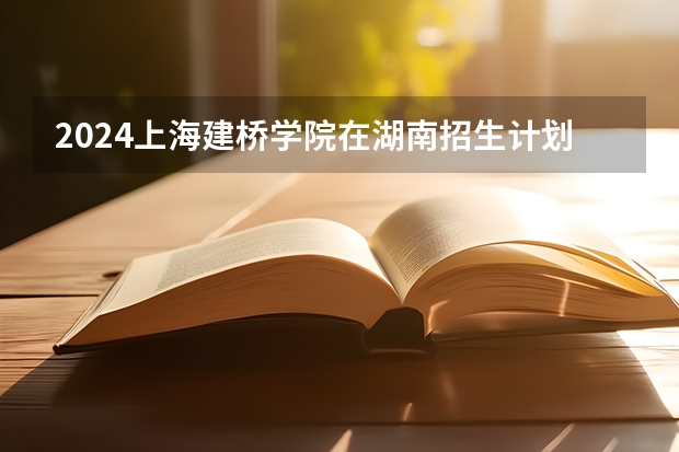 2024上海建桥学院在湖南招生计划人数