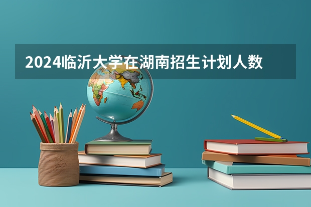 2024临沂大学在湖南招生计划人数