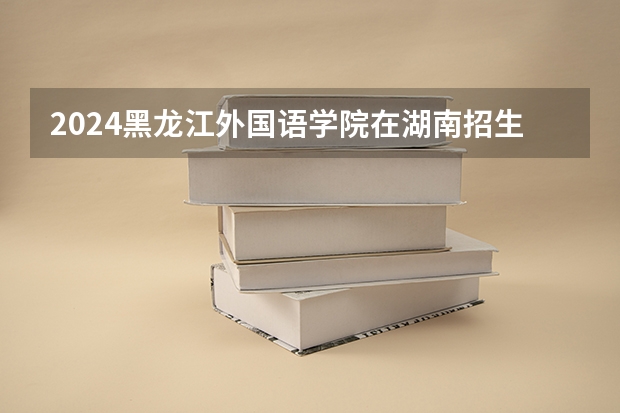 2024黑龙江外国语学院在湖南招生计划人数