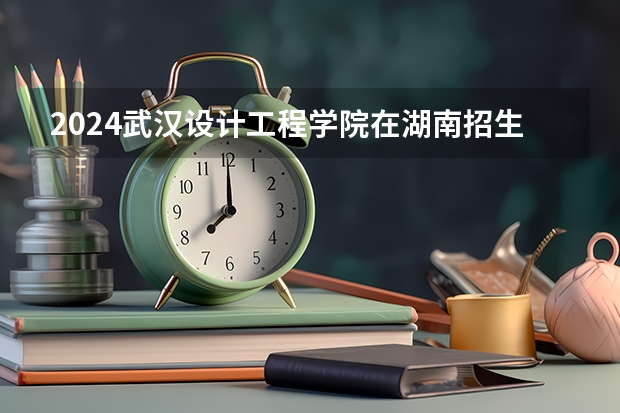 2024武汉设计工程学院在湖南招生计划人数