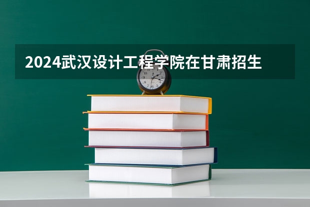 2024武汉设计工程学院在甘肃招生计划人数
