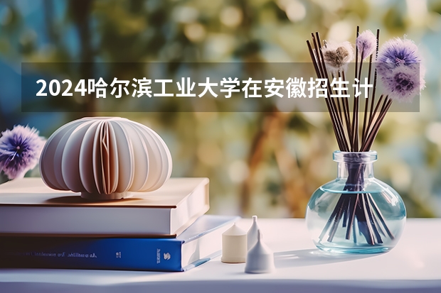 2024哈尔滨工业大学在安徽招生计划人数