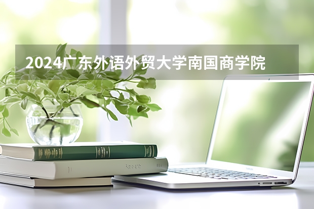 2024广东外语外贸大学南国商学院在云南招生计划人数