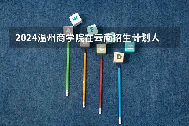 2024温州商学院在云南招生计划人数