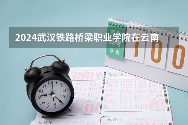 2024武汉铁路桥梁职业学院在云南招生计划人数