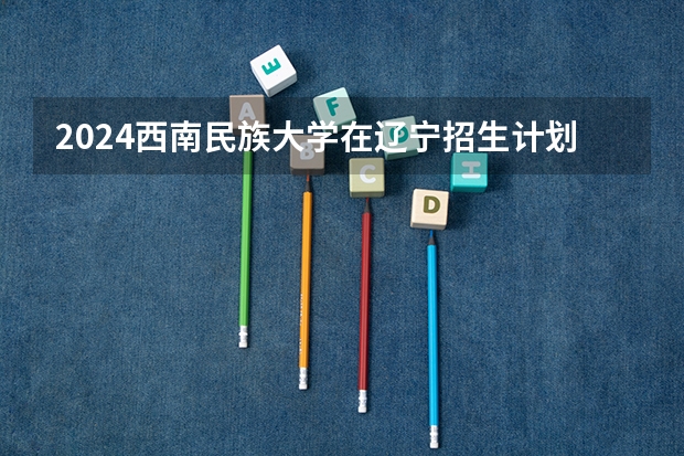 2024西南民族大学在辽宁招生计划人数