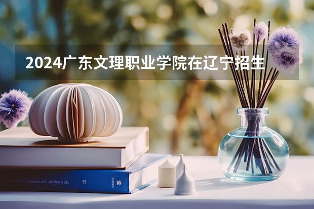 2024广东文理职业学院在辽宁招生计划人数
