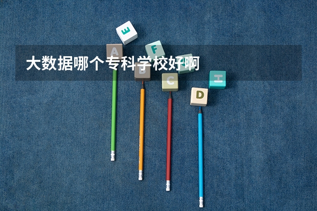 大数据哪个专科学校好啊