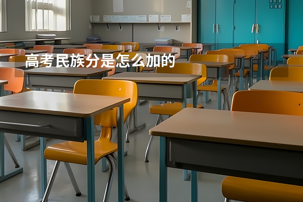 高考民族分是怎么加的