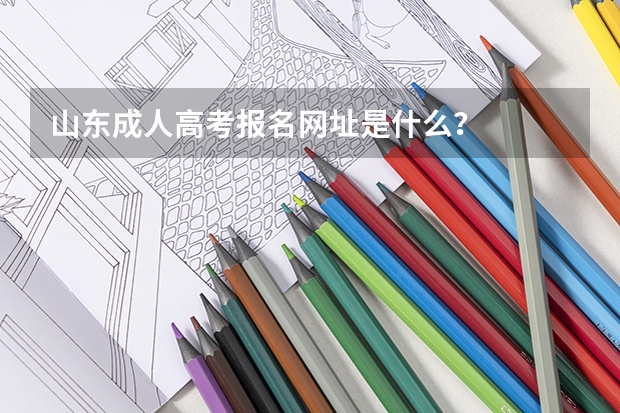 山东成人高考报名网址是什么？