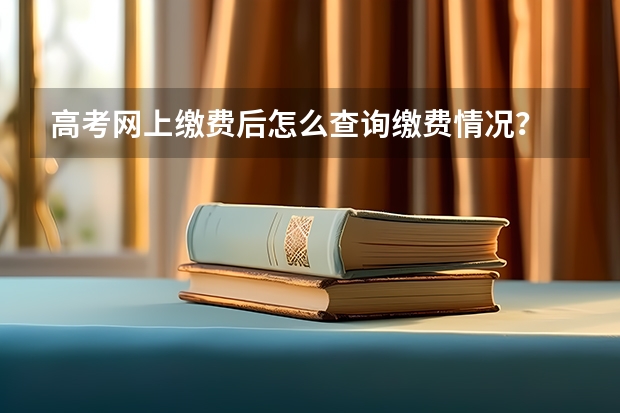 高考网上缴费后怎么查询缴费情况？