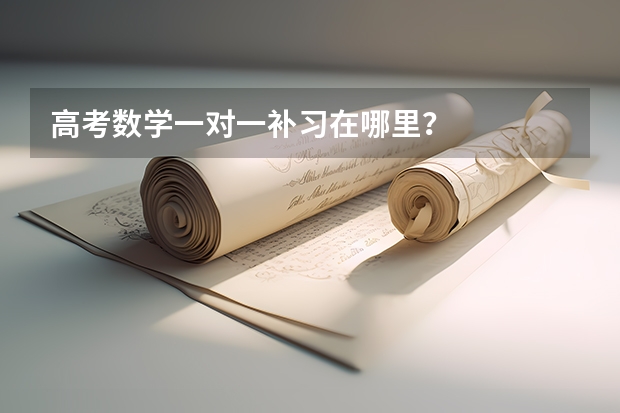 高考数学一对一补习在哪里？