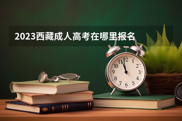 2023西藏成人高考在哪里报名